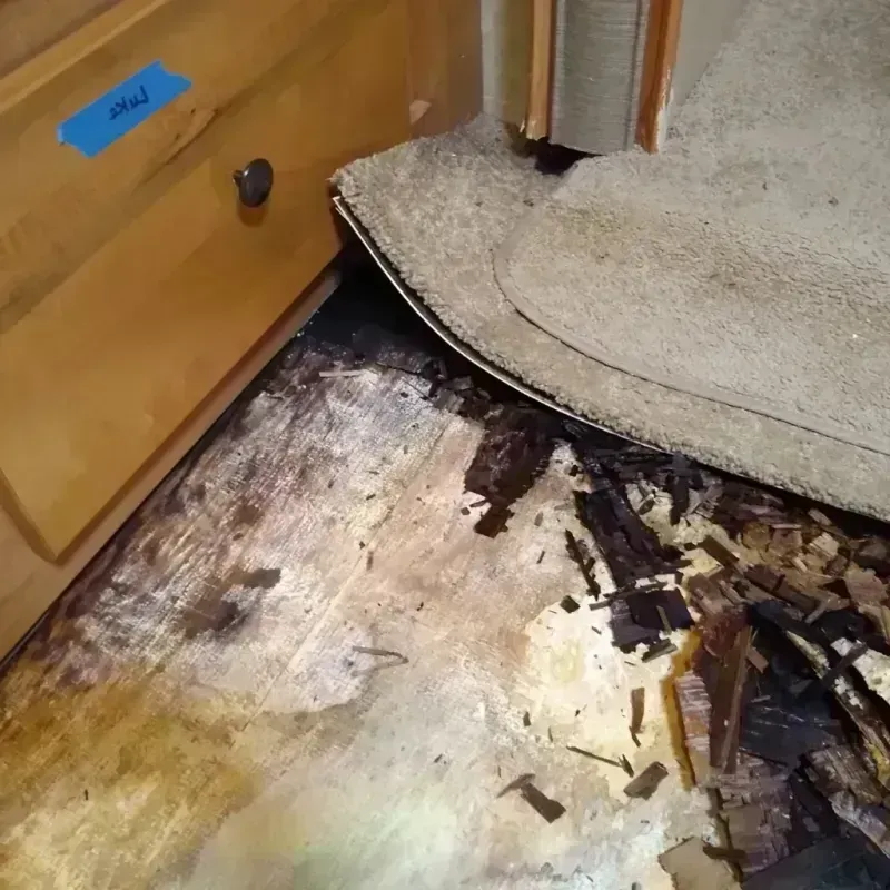 Best Wood Floor Water Damage Service in Seneca, SC